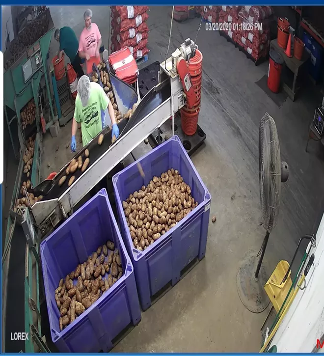 The overhead feed of the potato assembly line at Duncan Produce. - PHOTO COURTESY OF CASEY DUNCAN