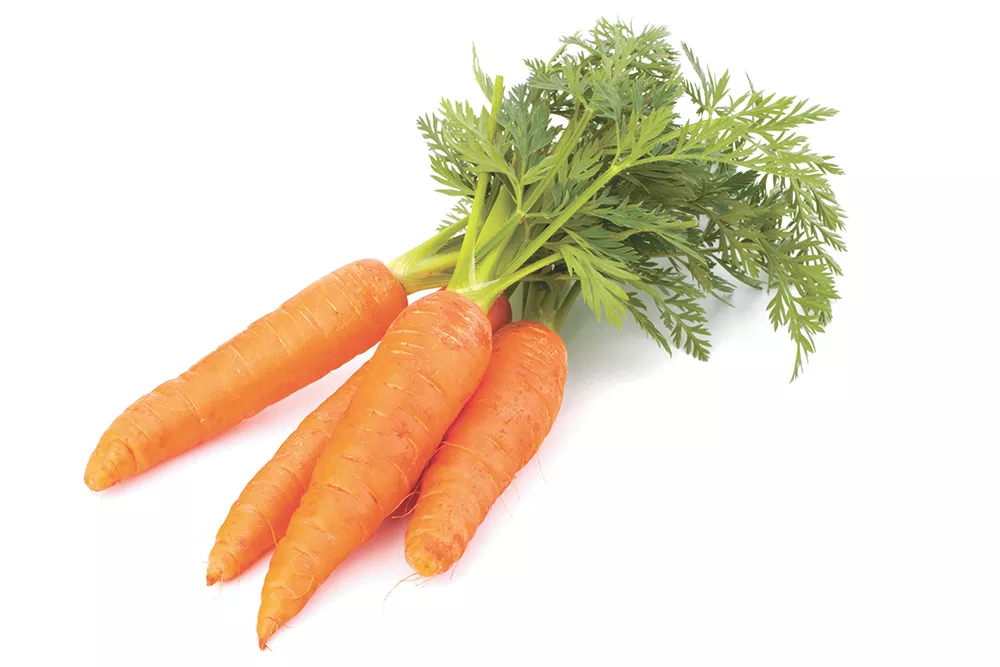 Картинка морковь без фона