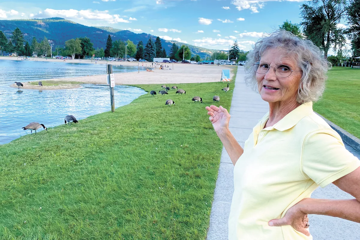 How an abundance of geese at a popular beach can put a city in a crappy situation
