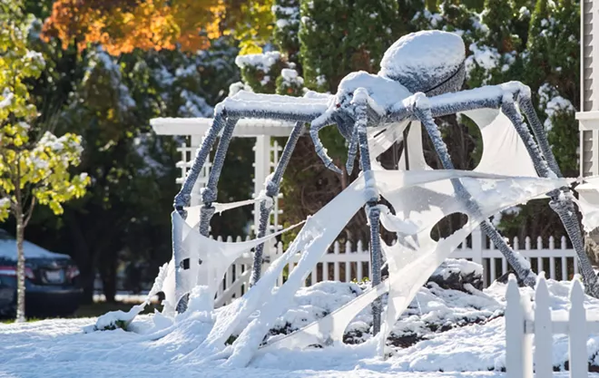 ARACHNAPPED! Nine-foot-wide giant spider gets stolen from Browne's Addition yard