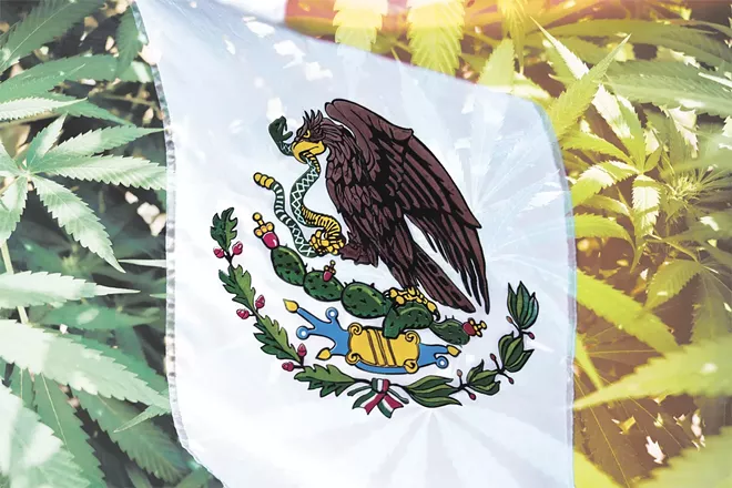 On Nov. 19, Mexico’s Senate voted 82 to 18 to legalize recreational cannabis and open a regulated market in the country.