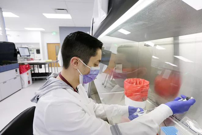 Incyte Diagnostics molecular technologist Andrew Enzler works with COVID-19 test swabs. Positive samples may be shipped to a state lab for genome sequencing. - YOUNG KWAK PHOTO