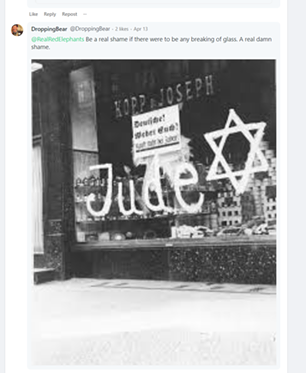...and someone in the comments makes an allusion to Kristallnacht, the campaign of Nazi terror waged upon Jewish people in Germany. - GAB SCREENSHOT