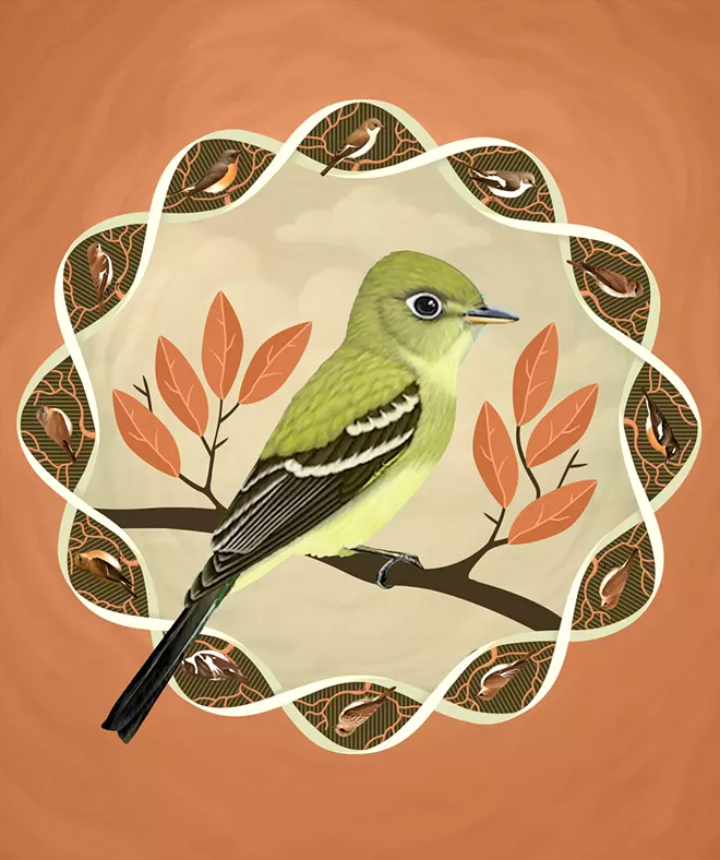 JEFF DREW ILLUSTRATION