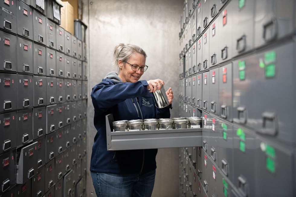 Seed banks around the world guard against the perils of industrialized farming and disasters. One of the most diverse banks in the U.S. can be found on the Palouse