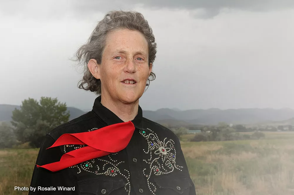 Temple Grandin: "One of the problems we have with 'autism' is it's so variable." - ROSALIE WINARD PHOTO