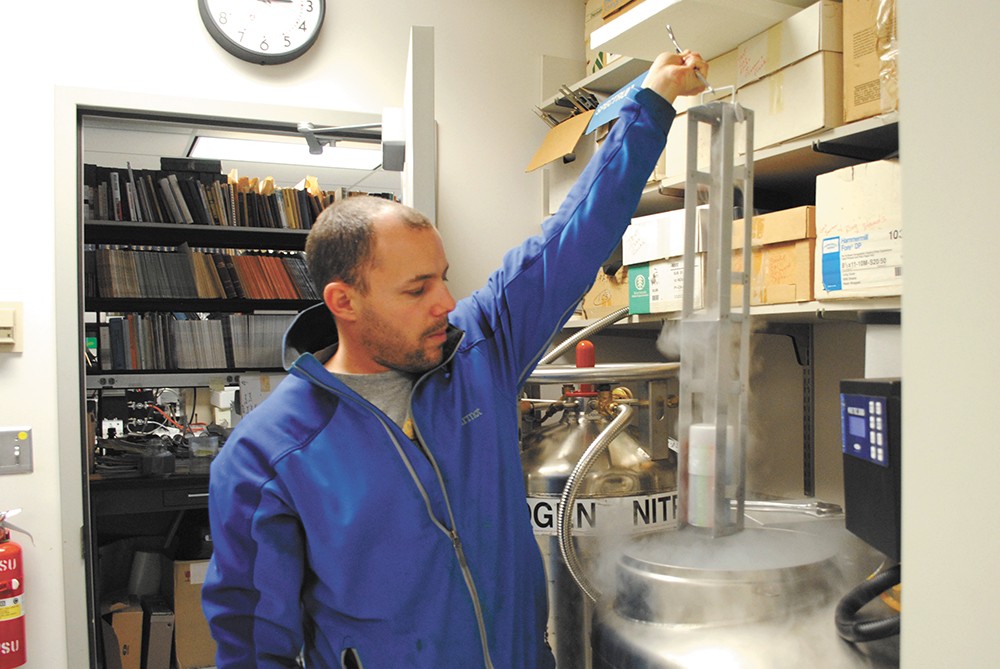 WSU researcher Brandon Hopkins showcases the largest collection of frozen bee semen in the world. - RUSS WALSH