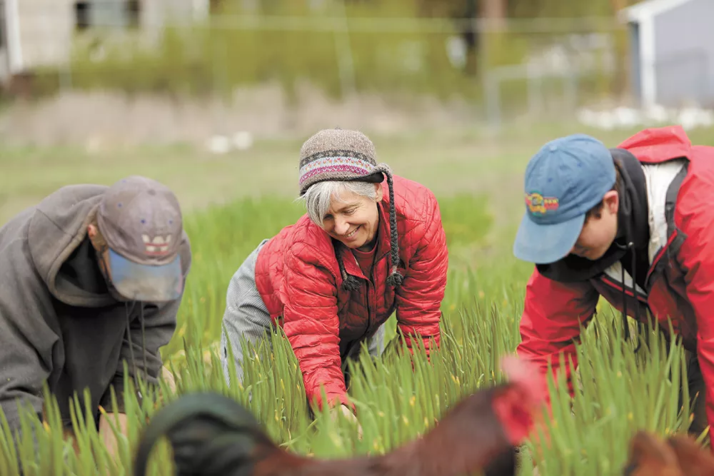 Urban Eden Farm, co-owned by Tarawyn Waters (center), is located minutes from downtown Spokane and grows vegetables sold directly to local customers. - YOUNG KWAK