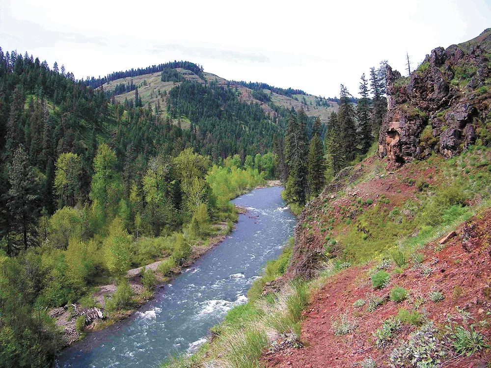 This summer, discover the Wenaha-Tucannon Wilderness, tucked between the Palouse’s wheat fields and Walla Walla’s vineyards.