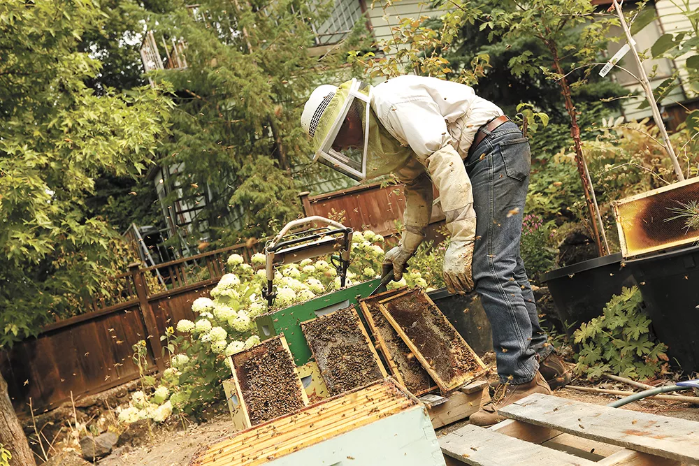 Lars Neises, tending bees, and Rebecca Laurence (not pictured) have agreed to sell their land to the cohousing group. - YOUNG KWAK