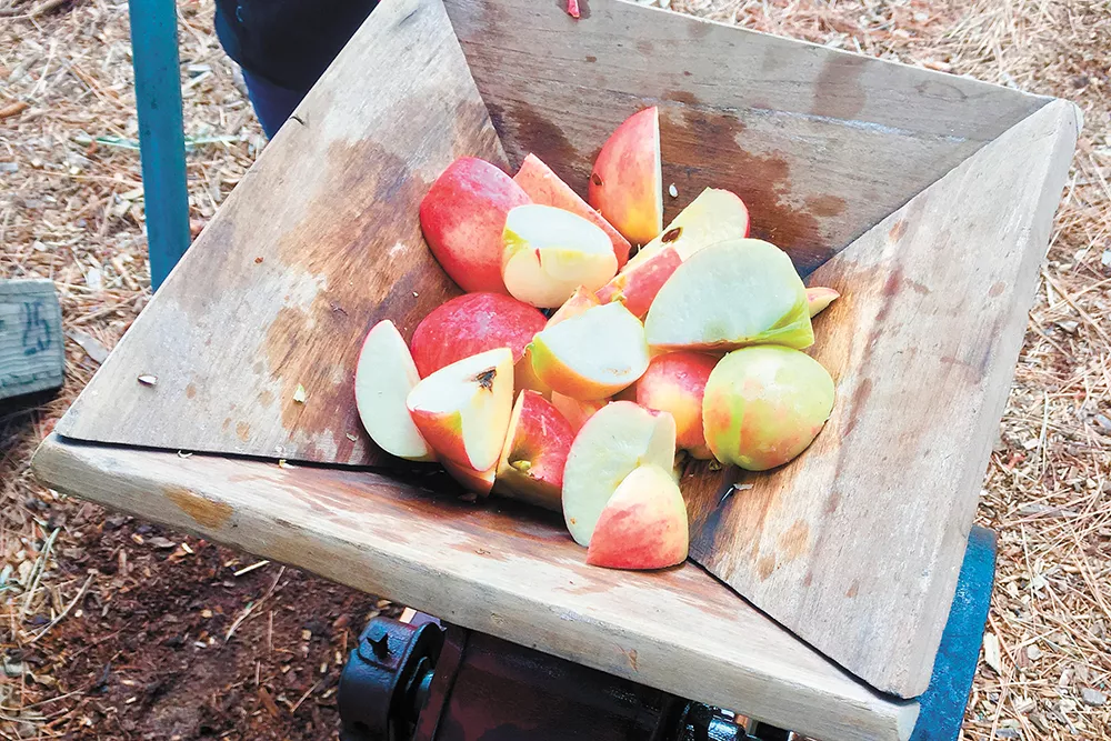 The Conley family found Red Delicious trees growing on their new property in Athol, Idaho, so they planted more trees and now operate Athol Orchards. - NIKKI CONLEY
