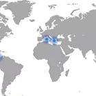 Eat Like They Do: Tips for eating like the healthiest people in the world