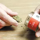 Super Strains: 10 amazing marijuana strains for cannabis enthusiasts