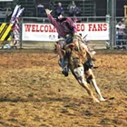 The story of White Boy Rick, Spokane Rodeo thrills and more you need to know