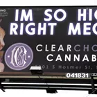 You Can't Use Kitties to Sell Weed in Washington