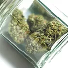 Cold, Dark Places: How to ensure your bud lasts