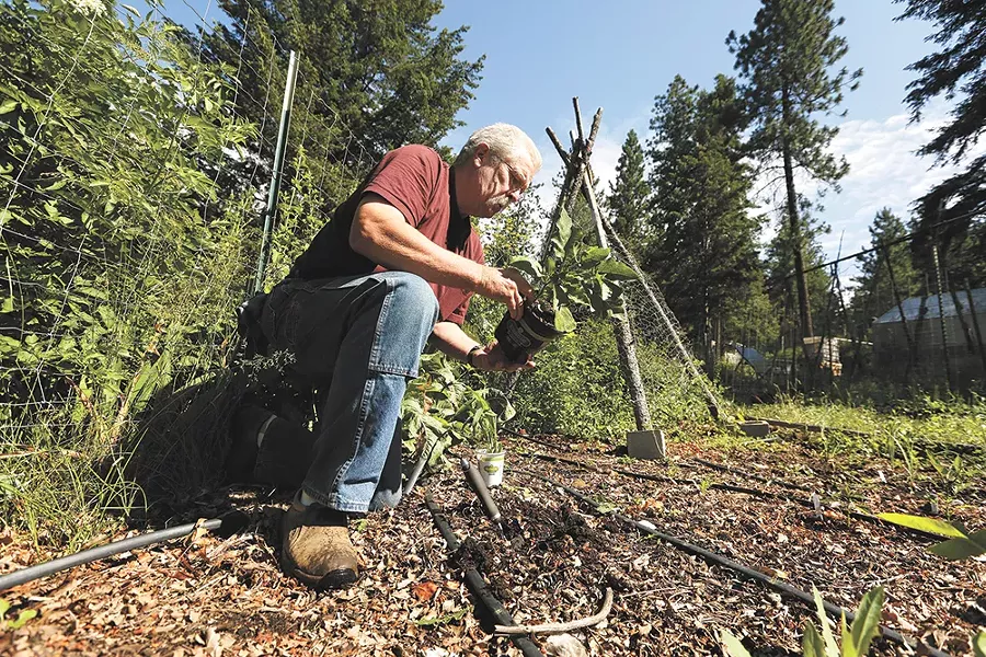 Thom and Torie Foote operate their permaculture farm in Colbert. - YOUNG KWAK