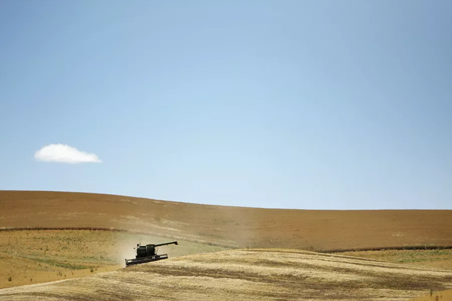 Inlander file photo from the Palouse, 2013. - YOUNG KWAK