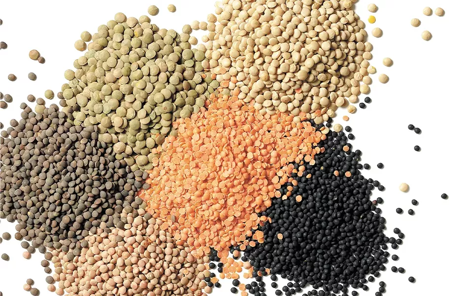 Lentils are king on the Palouse. - YOUNG KWAK