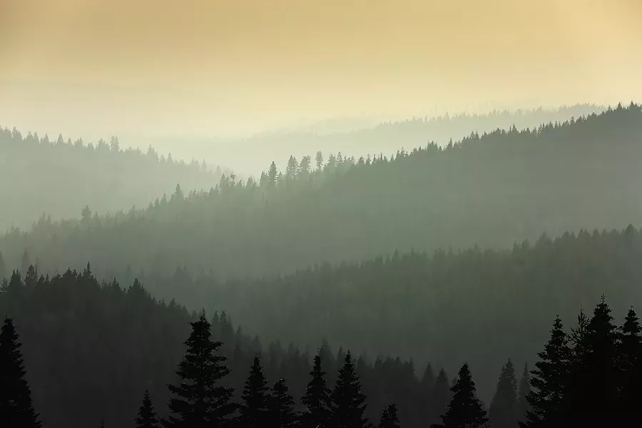 A view from Mt. Spokane on Aug. 19. - YOUNG KWAK