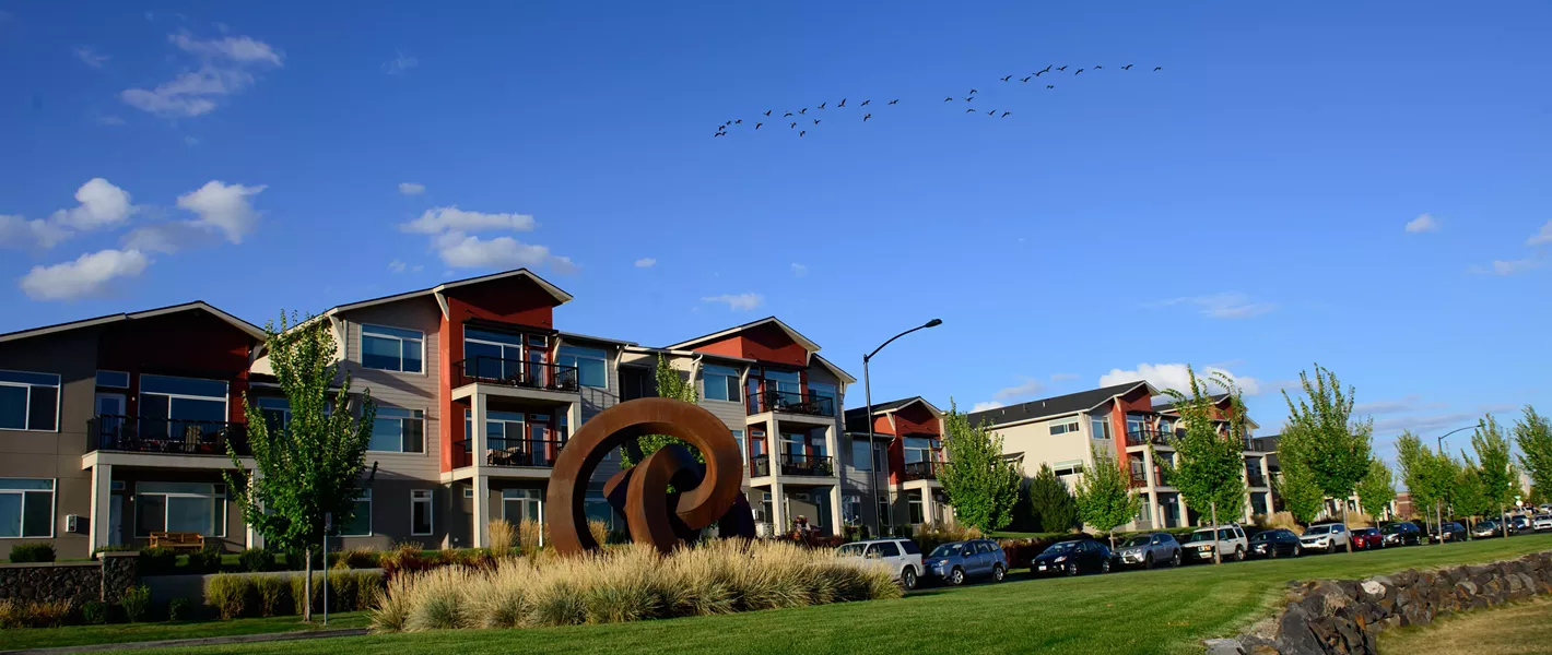 A flock of geese fly over Kendall Yards - DANIEL WALTERS PHOTO