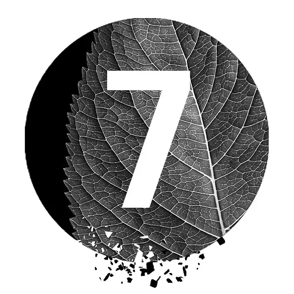 7-pc.jpg