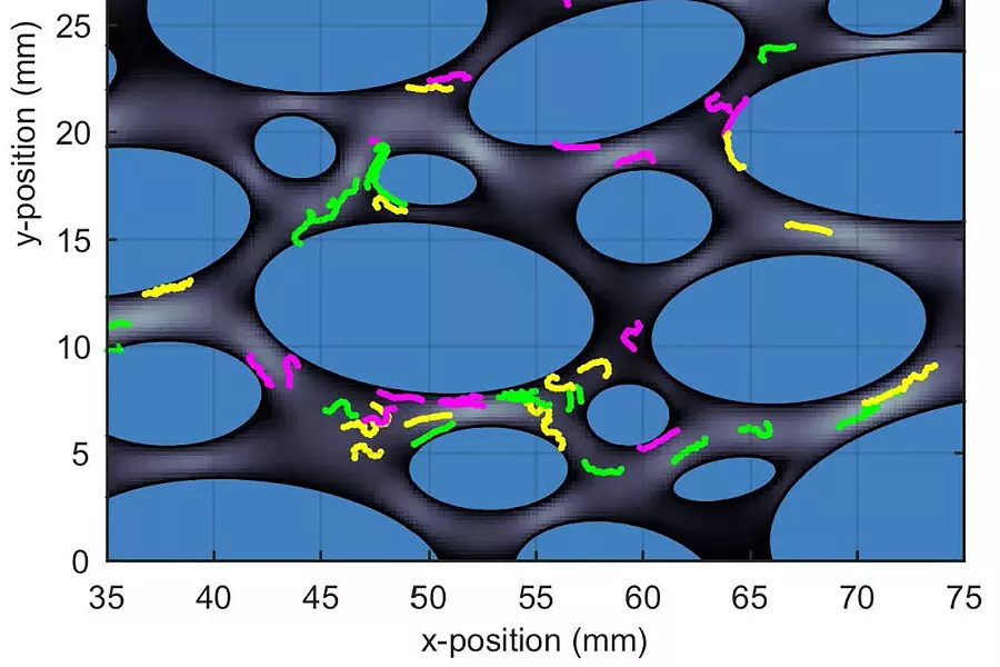 WSU RESEARCH MODEL SHOWING HOW MICROPLASTICS MIGHT MOVE.