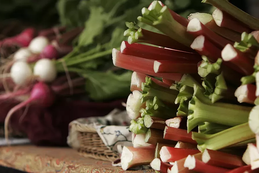 Rhubarb and radishes from Tolstoy Farms. - YOUNG KWAK
