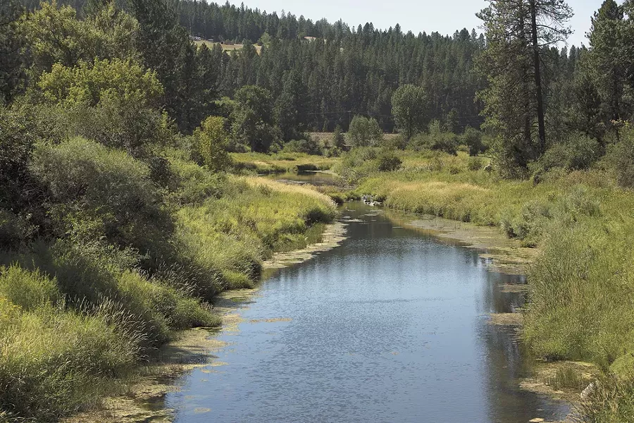 The history of the neighborhood's namesake creek name is conflicted. - YOUNG KWAK