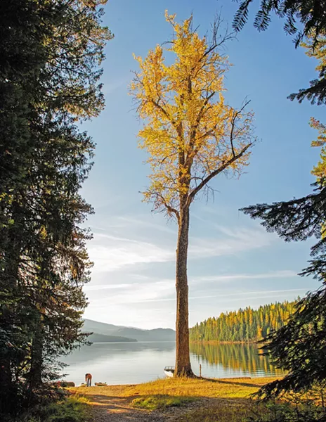 “Priest Lake Boat Launch” - JOANIE CHRISTIAN