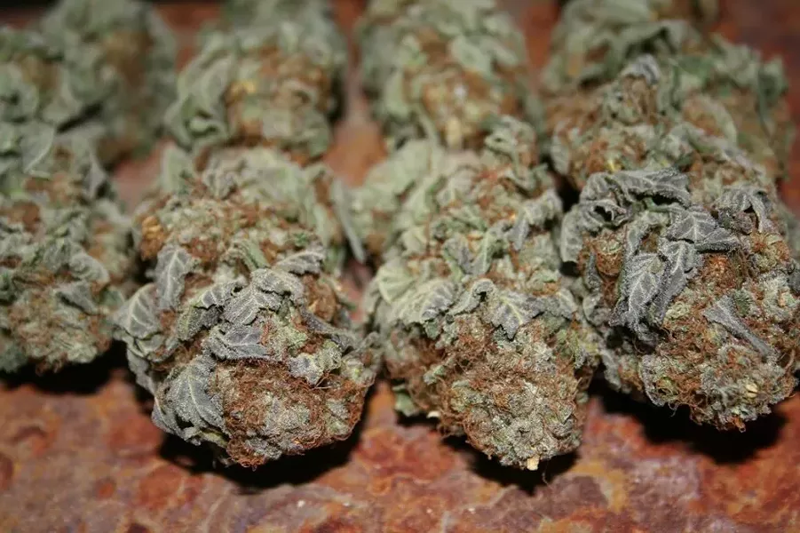 Would you call this "marijuana" or "weed"? Some people wish you wouldn't.