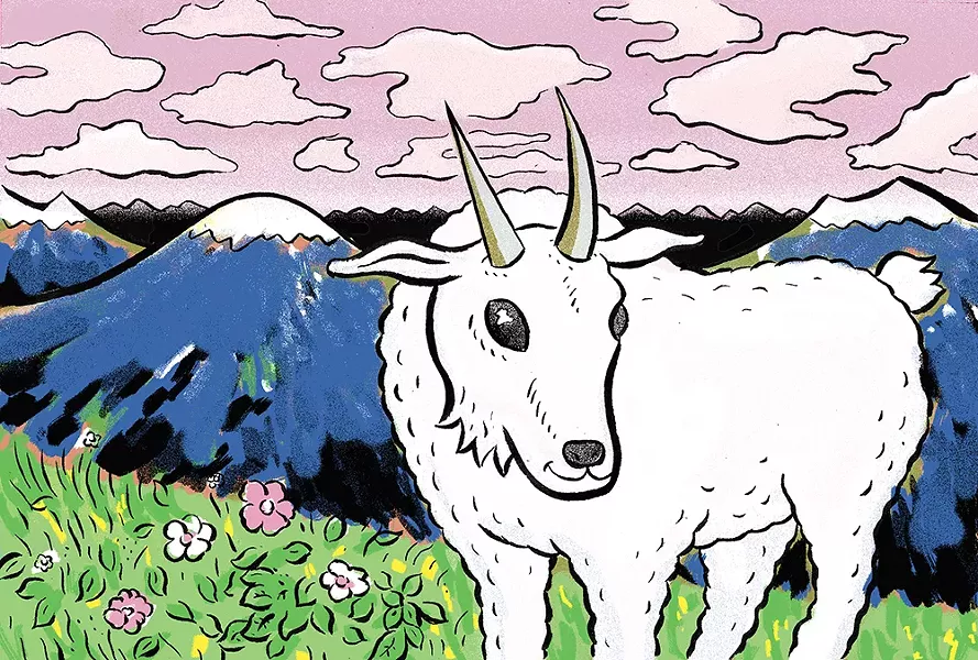 CALEB WALSH ILLUSTRATION