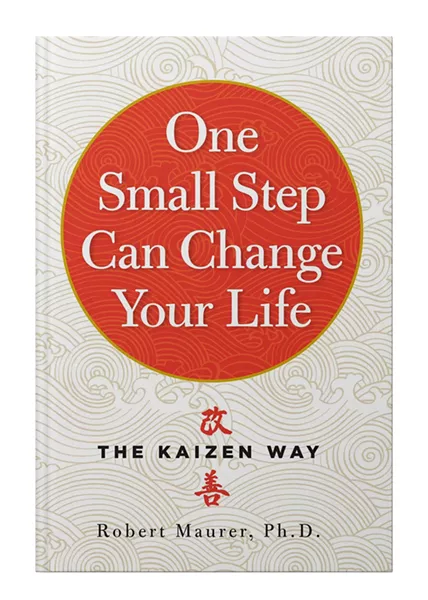 Maurer's book, One Small Step Can Change Your Life, was named a Google Top 100 book for 2016.