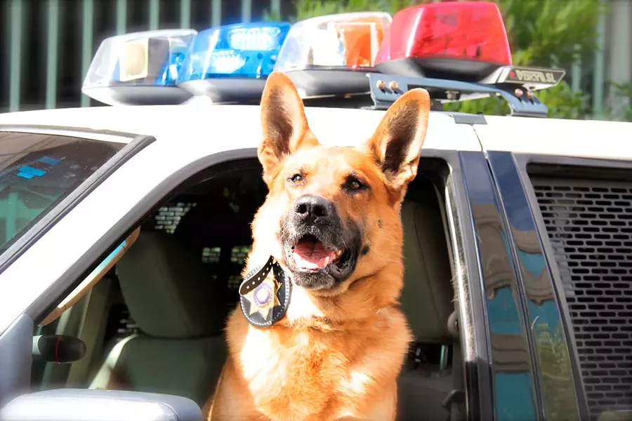 Two of the Spokane County Sheriff's K-9 officers are retiring March 1.