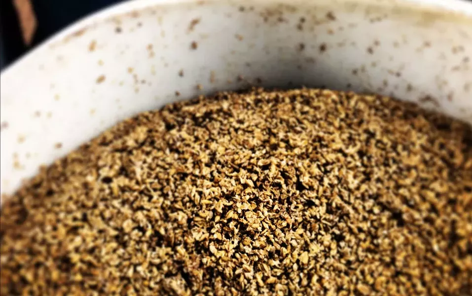 Barley for a special brew.