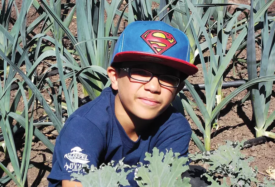 Luis Arroyo working in the garden.