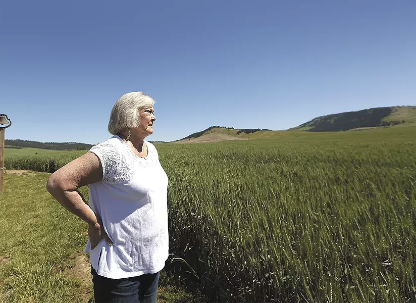 Penney Tee looks over wheat growing on - her land outside of Latah. - YOUNG KWAK