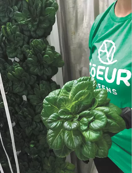 The container farm has about 2 acres worth of space. - CARRIE SCOZZARO