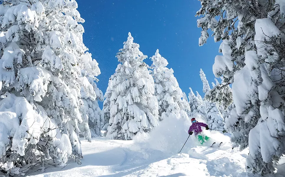 Trisha Scott shreds the North Face Glades at Silver Mountain. - WILLY BARTLETT