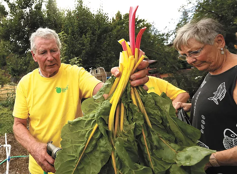 Dr. Dave (left) and Ruth Bare of Nine Mile Falls estimate they've grown and donated more than 6,000 pounds of fresh produce. - YOUNG KWAK