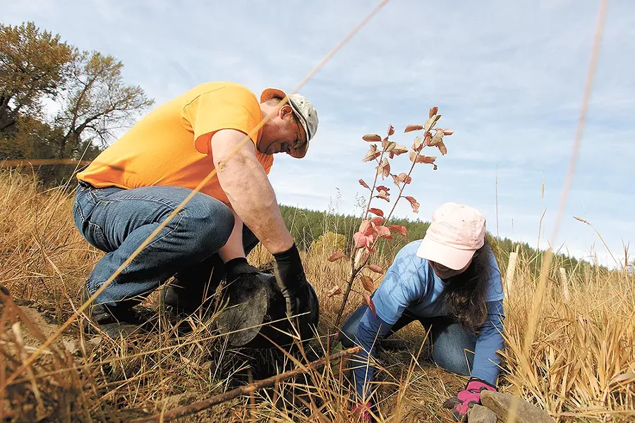 Help Reforest Spokane on Saturday.