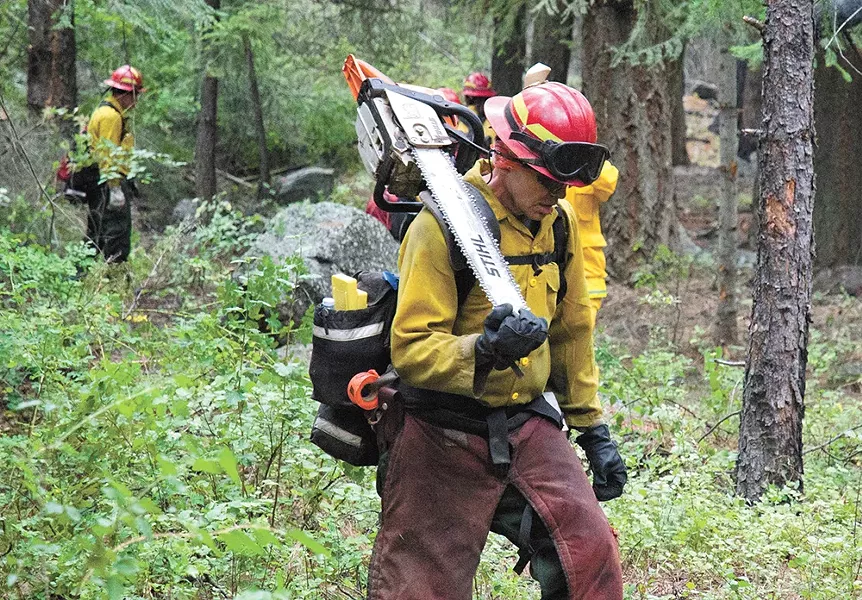 The Department of Natural Resources hopes to expand forest-management efforts to prevent more devastating wildfires. - JACOB JONES PHOTO