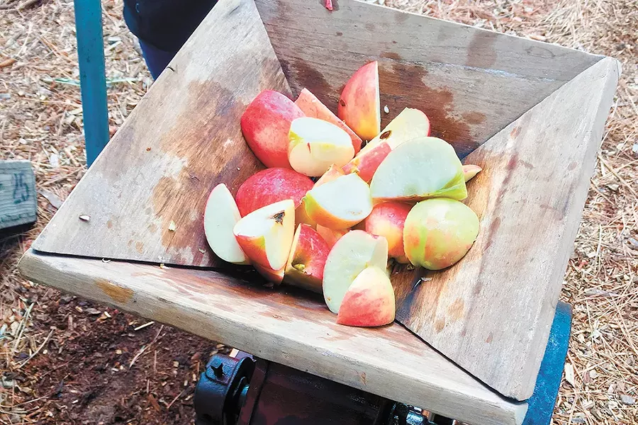 The Conley family found Red Delicious trees growing on their new property in Athol, Idaho, so they planted more trees and now operate Athol Orchards. - NIKKI CONLEY