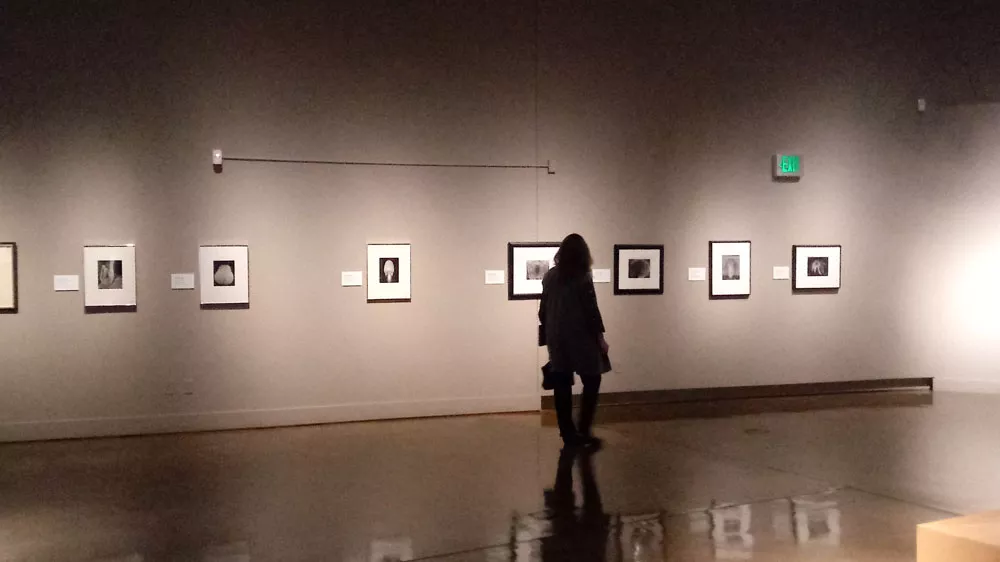 A MAC visitor peruses the Modern Masters: Group f/64 show. - DAN NAILEN PHOTO