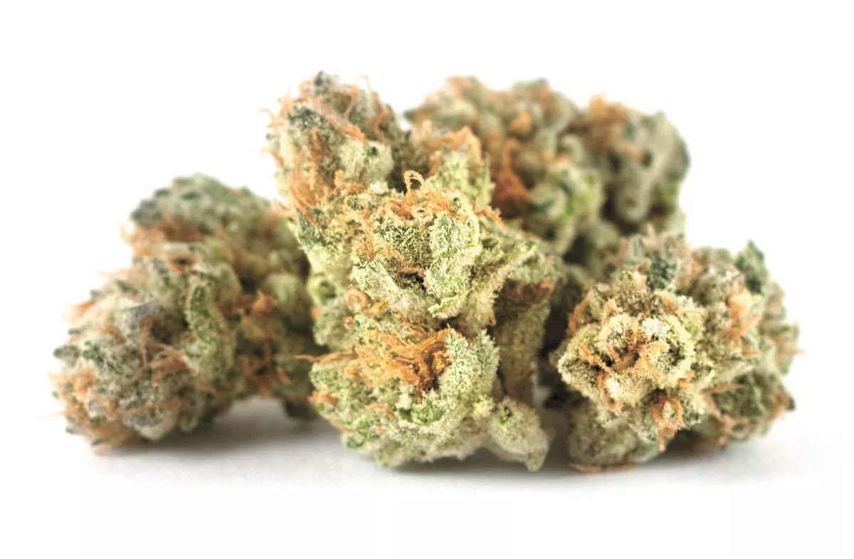 Sundae Driver – Oklahoma Medical Grower