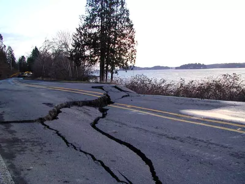 Let's all survive that big earthquake everyone is terrified about, OK