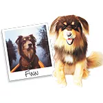 giftguide16-5-789740bcc9751fff.jpg