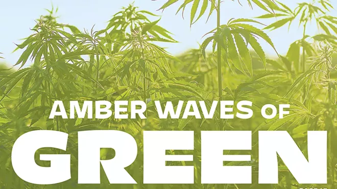 The 2020 Cannabis Issue