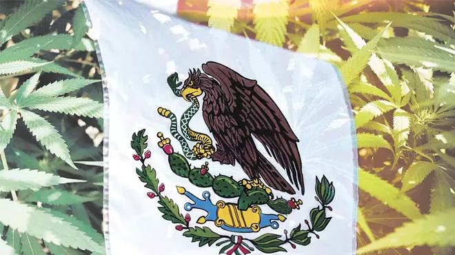 On Nov. 19, Mexico&rsquo;s Senate voted 82 to 18 to legalize recreational cannabis and open a regulated market in the country.