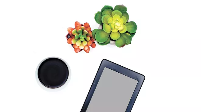 A book purist finally succumbs to the allure of the e-reader